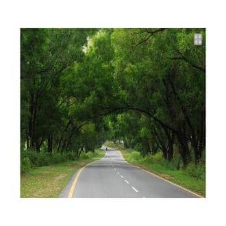 A Perfect Holiday Away From The Hectic World, Chikmaglur 3